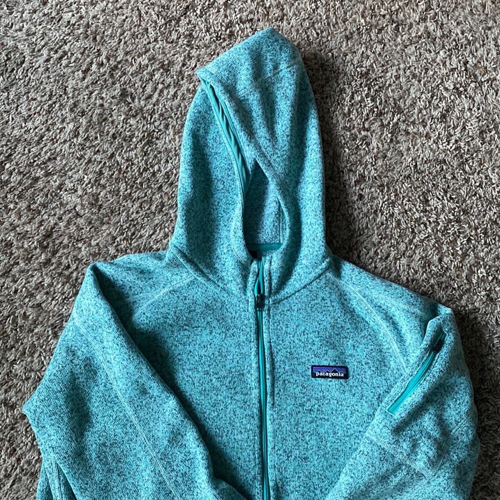 Patagonia better sweater fleece hoodie- Galah Green.